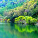 삼기 이미지