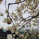 개화주유소 개방화장실 이미지