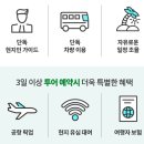 필리핀 보홀 자유여행 🐳 보홀 고래상어 투어 + 나팔링 스노쿨링