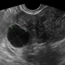 경희또봄한의원 이미지