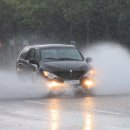 서호동-25 이미지