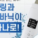 클린펌