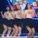 미모 이미지