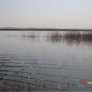 구룡천2 이미지