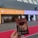 차를 좋아하는 사람들 | 차 좋아하는 사람의 2025 서울카페쇼 비지니스데이 첫날 후기