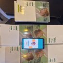 이디스 | 이디스 워튼 여름 독서모임 후기