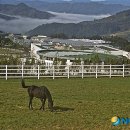 ㈜다음레저 이미지