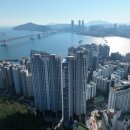 294-2 이미지