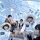 커피허브핫 이미지