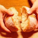 생명의 빵 이미지