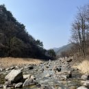 내리계곡로 | 영월캠핑장 시설 좋고 깨끗한 계곡 앞 예다움캠핑장 추천 2박 3일 솔직후기