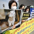 이정화농장 이미지