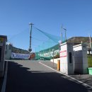 서초등학교 이미지