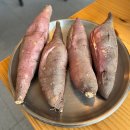 하이브리드로1 | [영천 망정동 맛집] 우로지 생태공원을 벗삼아 화덕...즐기다, 영천 삼겹살 맛집 리코파파 시즌2 솔직 후기