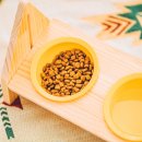 멍해묘해 이미지