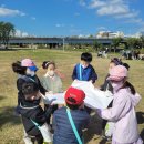 효광초등학교 이미지