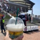 3공단3로3R-3 | [2025 FC서울] 3R 김천상무 직관 후기 : 잔디상태 이거 맞냐고 서시공아