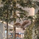 성지무역 | 낭만 가득! 현대백화점 무역센터점 크리스마스 마켓 '해리 상점' 후기