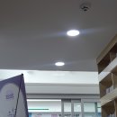 밤골작은도서관 | 15분도시 부산, 밤골작은도서관에서 들락날락 영어프로그램도 하네요!
