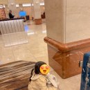 프라자호텔 | 아이랑 도쿄 여행: 신주쿠 게이오프라자호텔 도쿄 2박 후기 (위치 좋은 숙소)