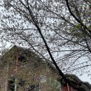 화양빌리지펜션 이미지