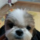 몽아