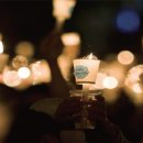 제헌절에 생각하는 헌법 이미지