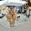 안산1길 | 안산 화정동 애견동반 카페유일 완전 솔직 후기