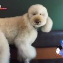 방화동농장 이미지