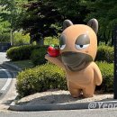 장수목장2 이미지