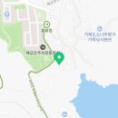 해금강천년송횟집 | 거제도 해금강 천년송횟집 멍게비빔밥, 매운탕