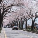 세븐일레븐신산파크점