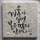 달과별그리고꿈 이미지