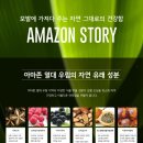 스토리폼 이미지