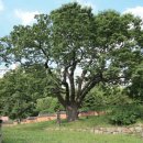 심곡서원건물 이미지