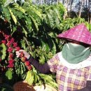 가중농장 이미지