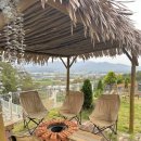 비행기나무 이미지