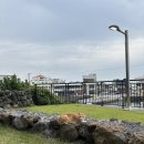 고내농장 이미지