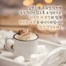 빨리셀프 이미지