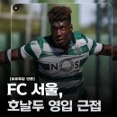 FC서울 타바레스 영입 유력 이미지