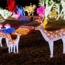 느랭이골자연리조트 이미지