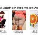 더블유더블에스