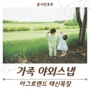 공주목장 | 아그로랜드 태신목장 / 가족 야외스냅 촬영 후기