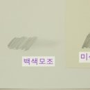 종이노리