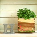 맛있는향기 이미지