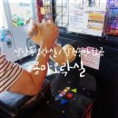 용마오락실 | 창원 상남동 오락실 용마오락실 : 비오는날 데이트 하기 좋은 곳