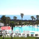 (주)벽전제주투자여행 | 해비치 호텔&amp;리조트 후기｜리뉴얼 달라진 점 + 마이리얼트립 특가 예약팁
