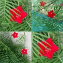 상조농장 이미지