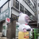임학역 | [인천 계양] 개냥이들이 많은 임학역 인근 고양이 카페 &#39;노라조 야옹아&#39; 후기