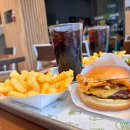 쉑쉑 버거의 클래식, 쉑마이스터 버거 리얼 후기! 🍔